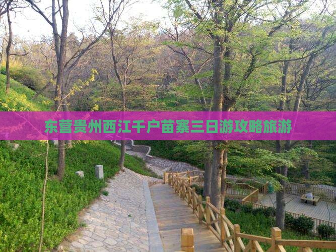 东营去贵州西江千户苗寨三日游