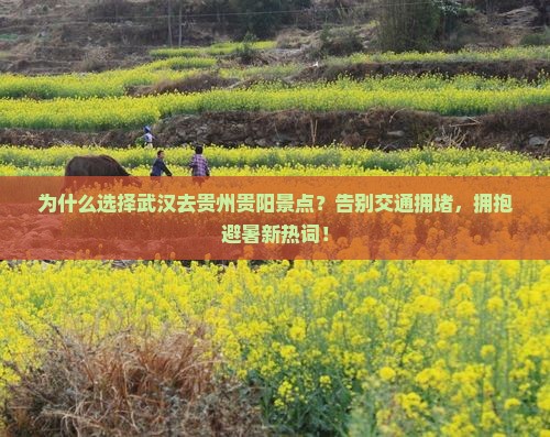 武汉去贵州贵阳景点