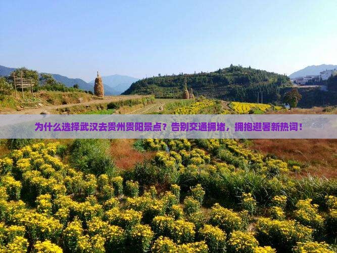 武汉去贵州贵阳景点