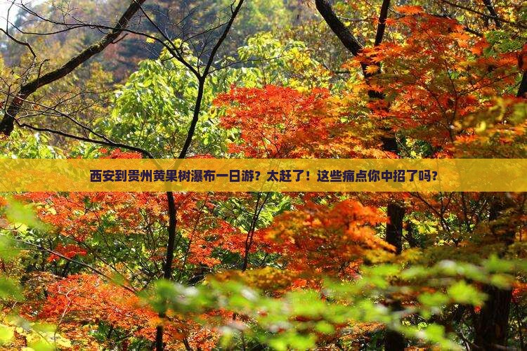 西安到贵州黄果树瀑布一日