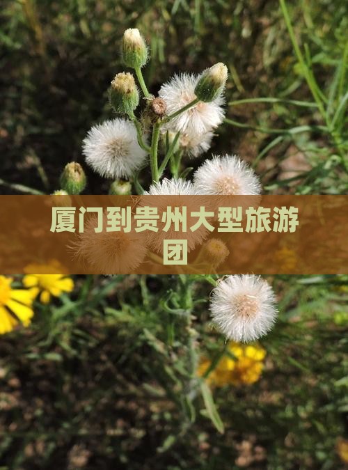 厦门到贵州大型旅游团