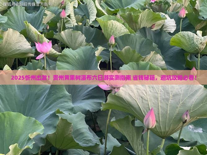 忻州到贵州黄果树瀑布六日游