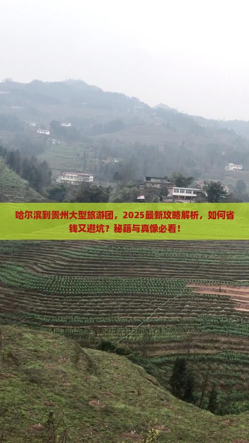 哈尔滨到贵州大型旅游团
