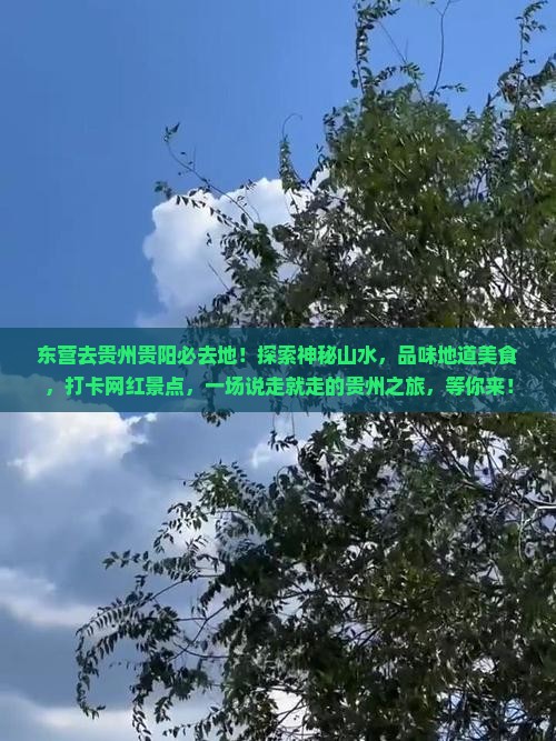 东营去贵州贵阳必去地