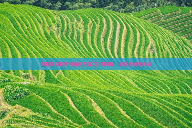 克拉玛依到贵州青岩古镇二日游