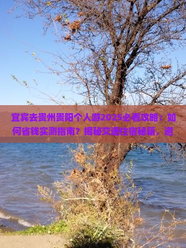 宜宾去贵州贵阳个人游