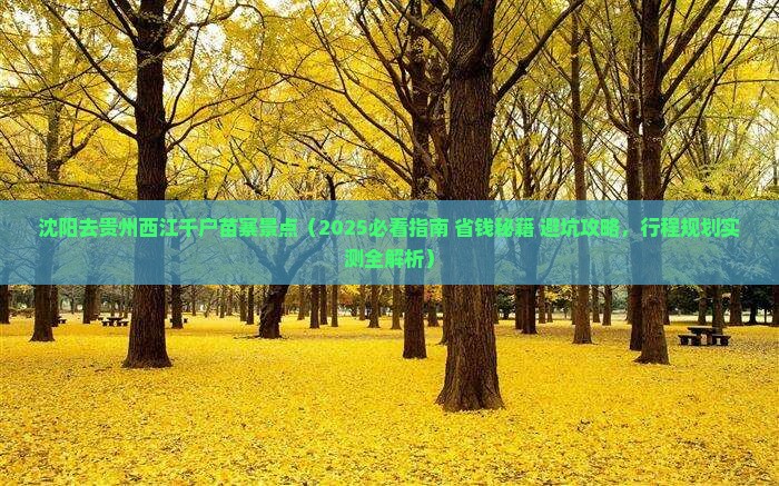 沈阳去贵州西江千户苗寨景点