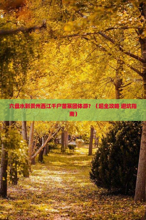 六盘水去贵州西江千户苗寨团体旅游