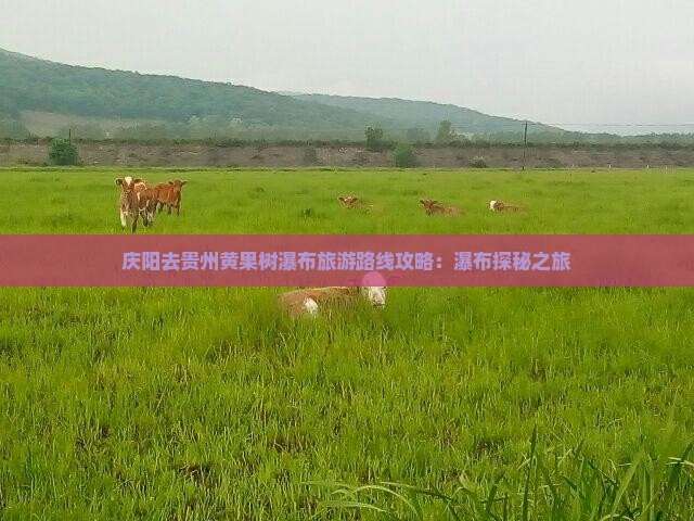 庆阳去贵州黄果树瀑布景点