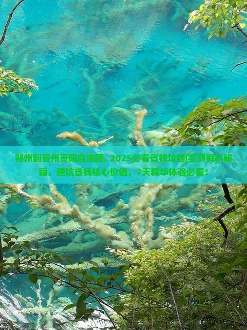 朔州到贵州贵阳自由团