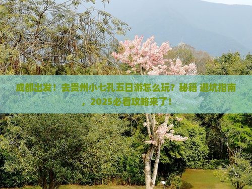 成都去贵州小七孔五日游