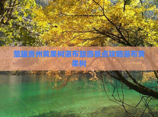 楚雄去贵州黄果树瀑布大型旅游团
