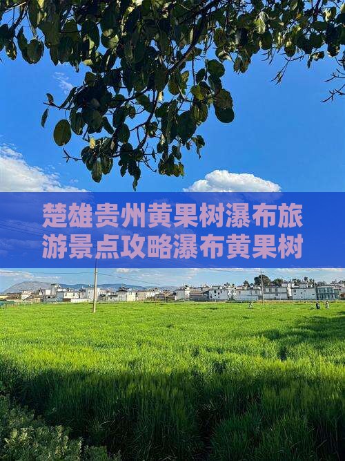 楚雄去贵州黄果树瀑布大型旅游团
