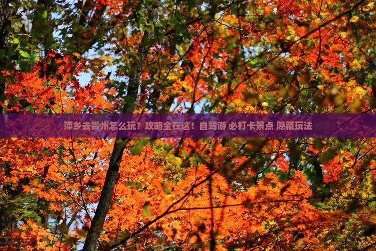 萍乡去贵州攻略