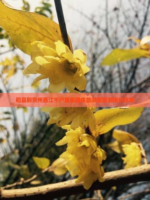 和县到贵州西江千户苗寨团体旅游