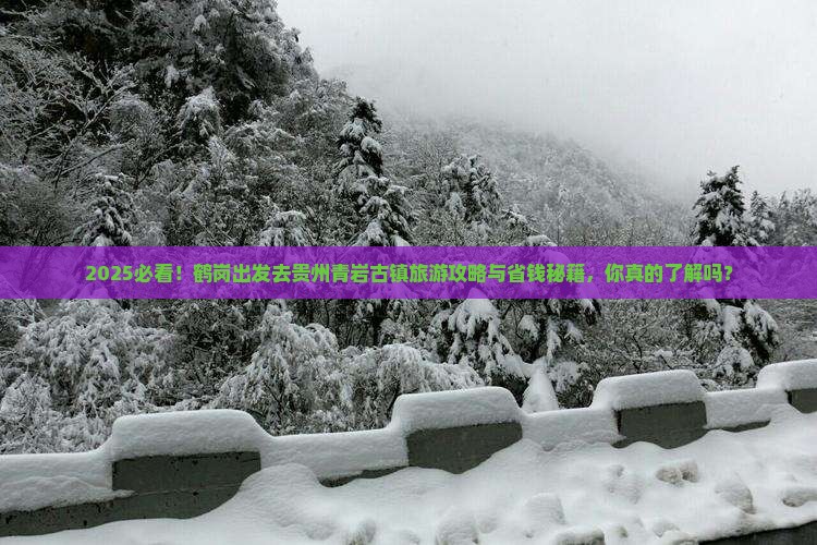 鹤岗到贵州青岩古镇旅游