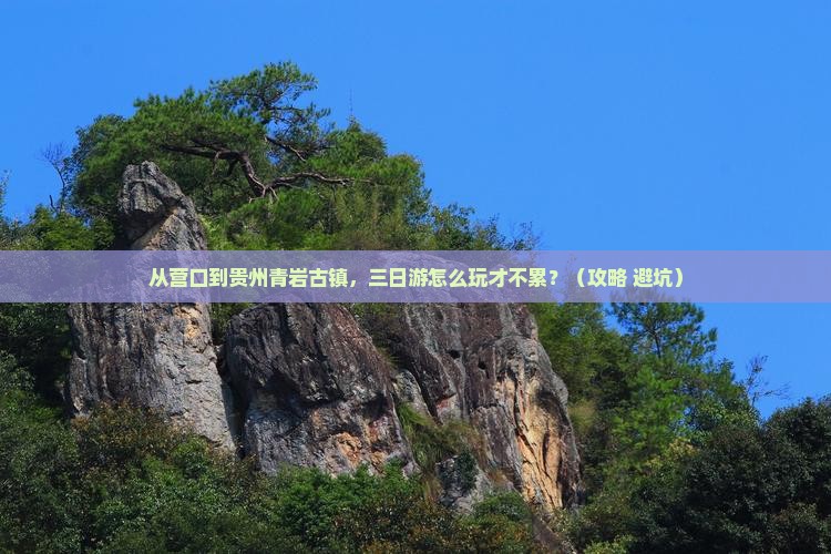 营口去贵州青岩古镇三日游