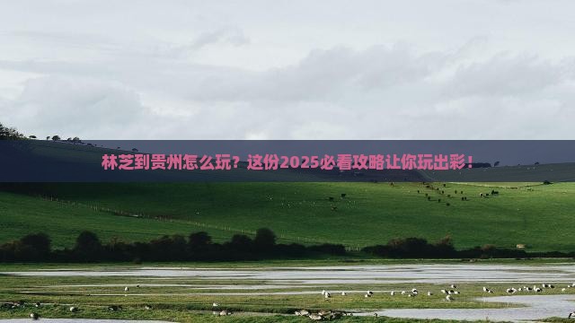 林芝去贵州哪里玩