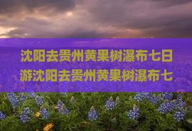 沈阳去贵州黄果树瀑布七日游