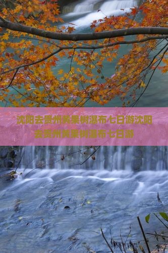 沈阳去贵州黄果树瀑布七日游
