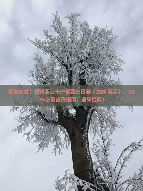桐城到贵州西江千户苗寨三日游
