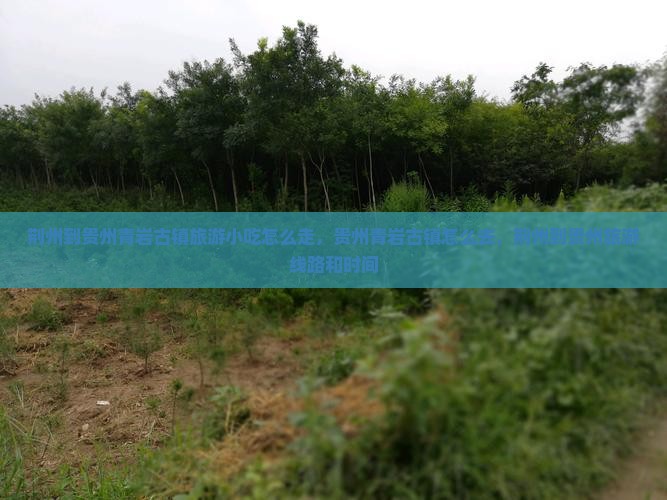 荆州到贵州青岩古镇旅游小吃