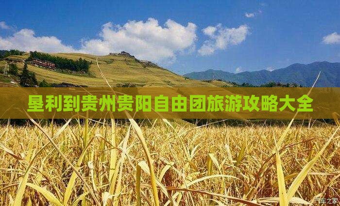 垦利到贵州贵阳自由团