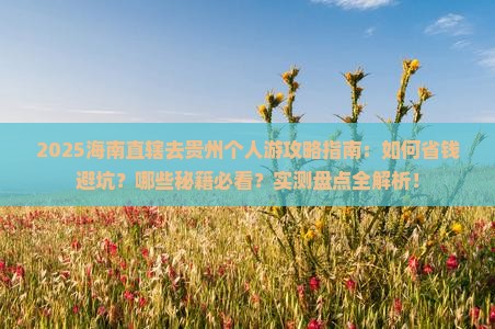 海南省直辖去贵州个人游