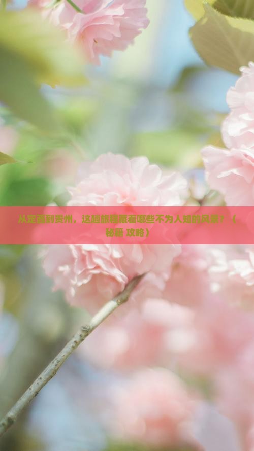 定西到贵州景点