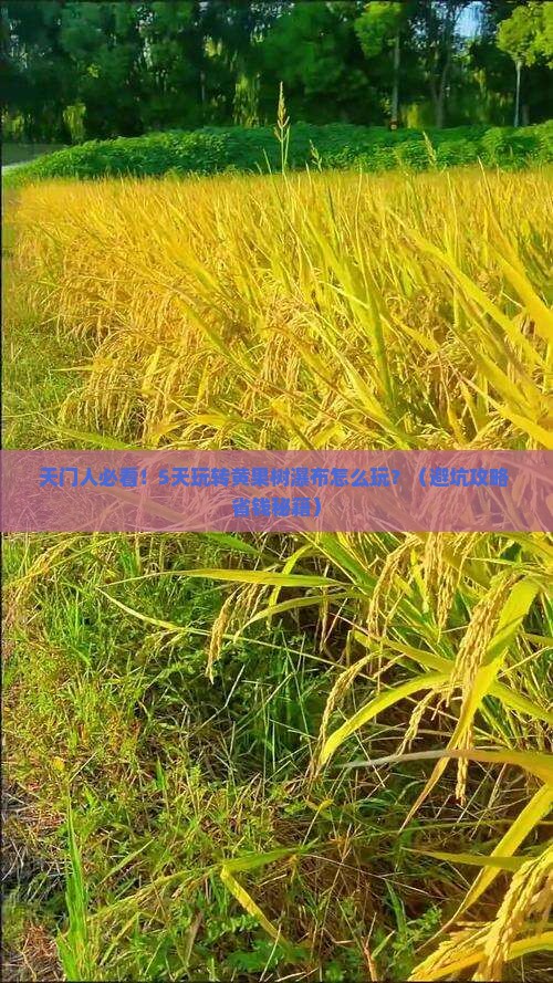 天门去贵州黄果树瀑布五日游