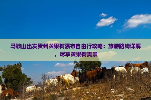 马鞍山到贵州黄果树瀑布自由行