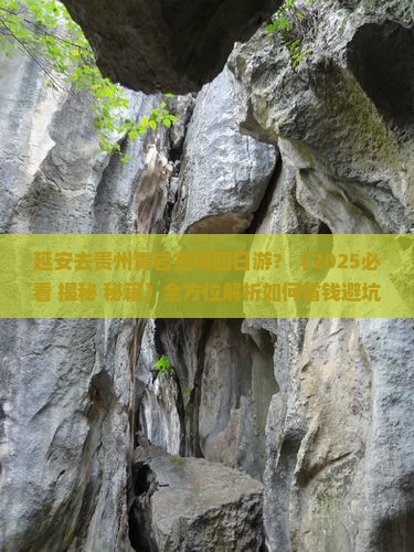 延安去贵州青岩古镇四日游