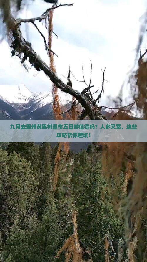 九月到贵州黄果树瀑布五日游