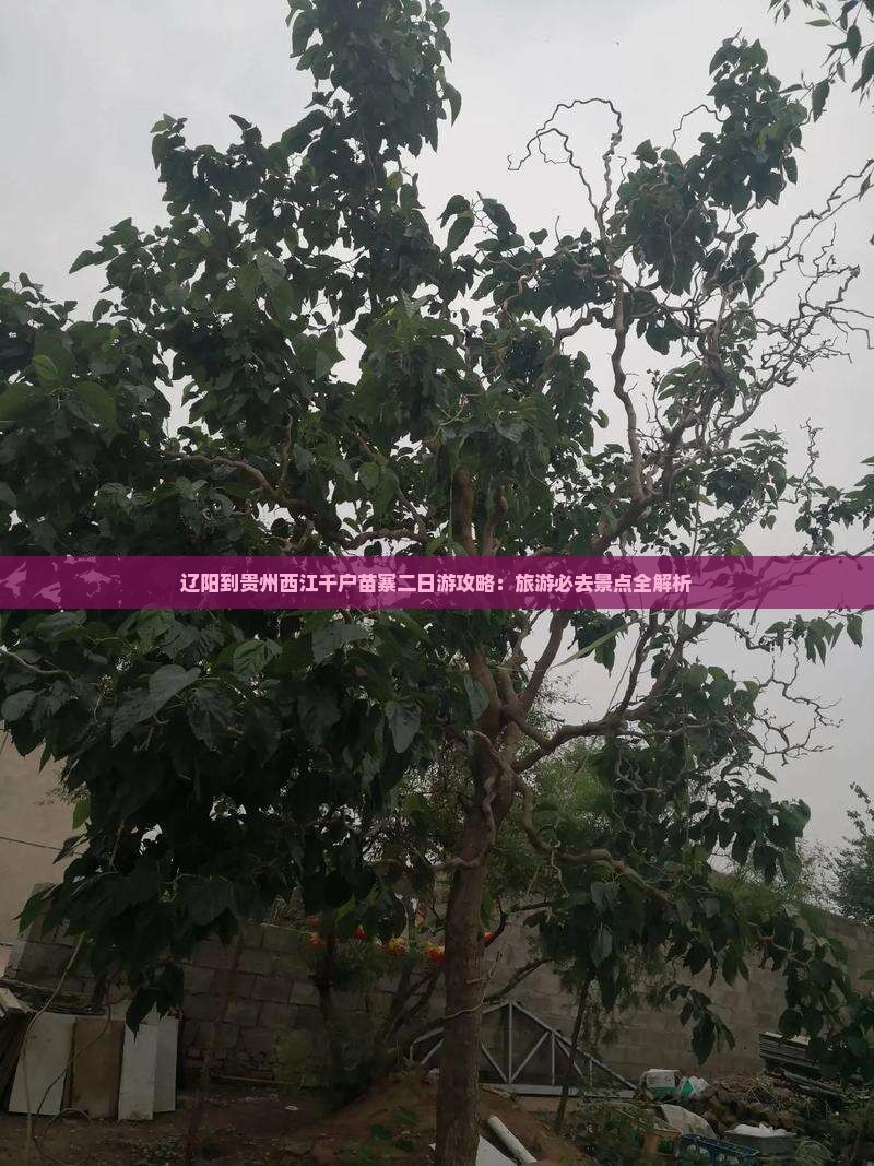 辽阳到贵州西江千户苗寨二日游