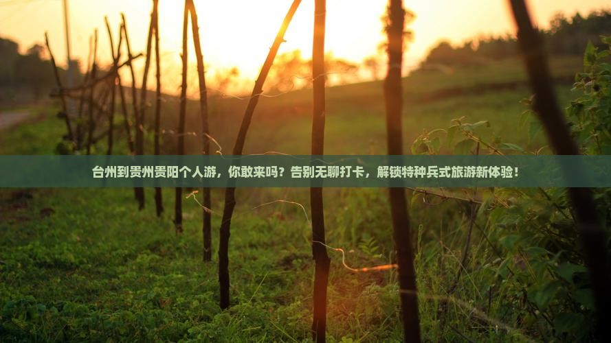 台州到贵州贵阳个人游