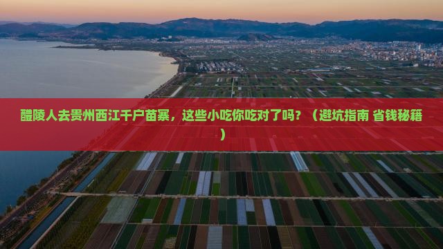 醴陵去贵州西江千户苗寨旅游小吃