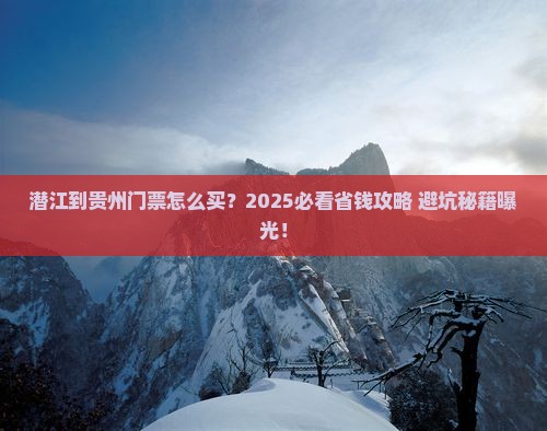 潜江到贵州门票