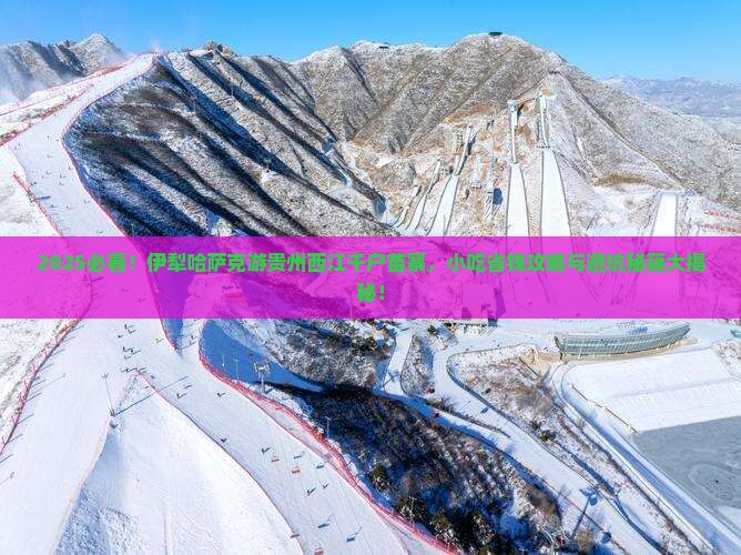 伊犁哈萨克到贵州西江千户苗寨旅游小吃