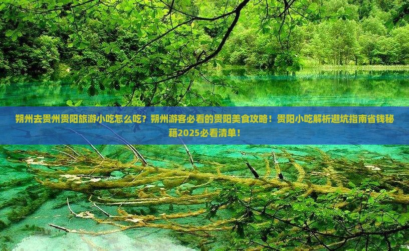 朔州去贵州贵阳旅游小吃