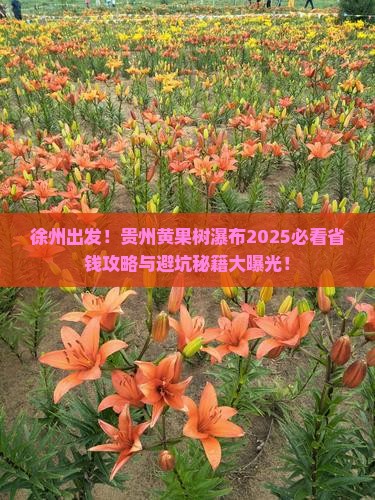 徐州到贵州黄果树瀑布景点