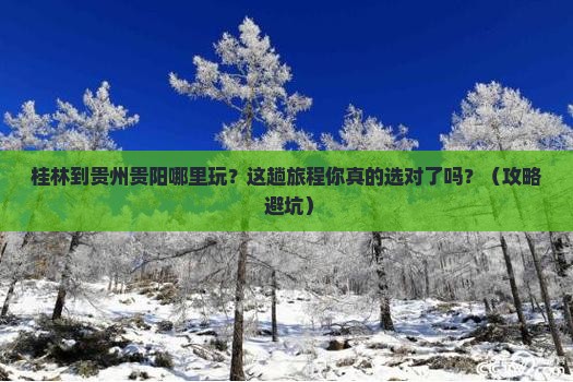 桂林到贵州贵阳哪里玩