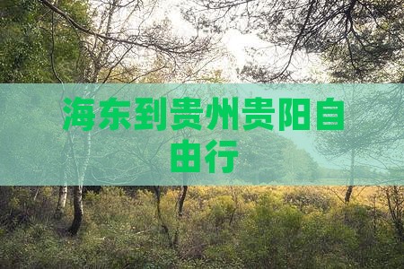 海东到贵州贵阳自由行