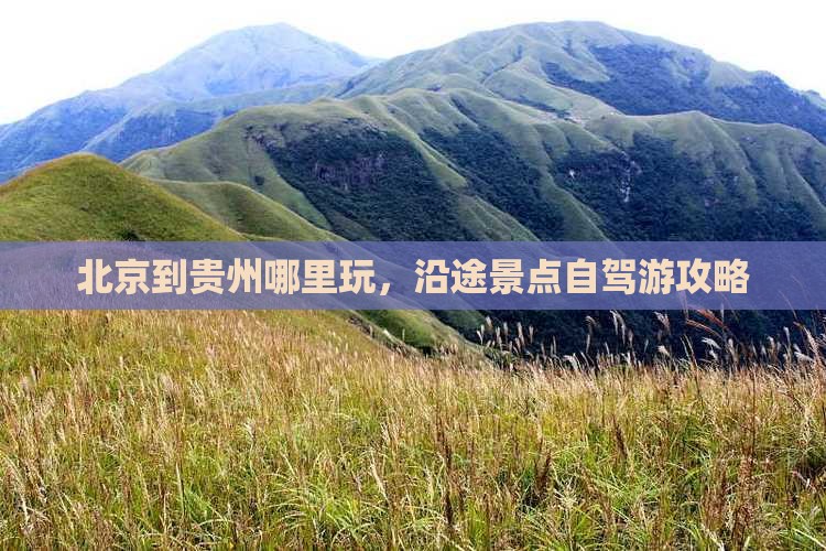 北京到贵州哪里玩