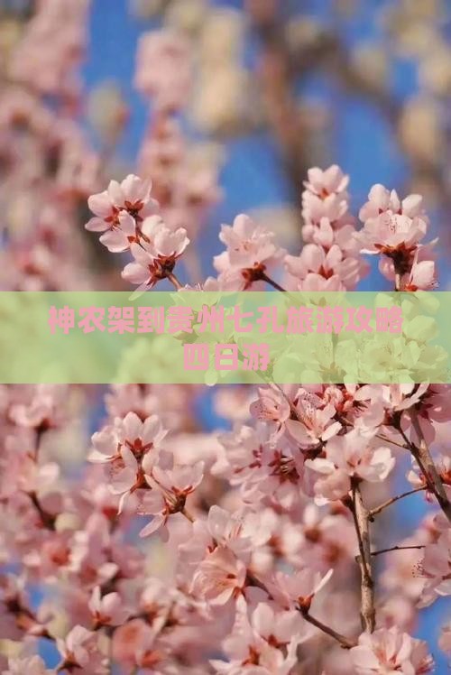 神农架到贵州小七孔四日游