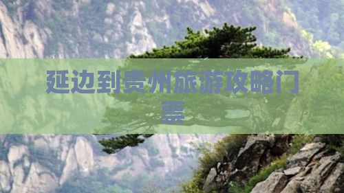 延边到贵州门票