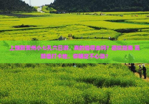 上饶到贵州小七孔六日游
