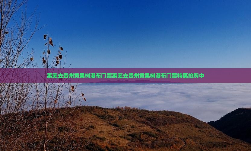 莱芜去贵州黄果树瀑布门票