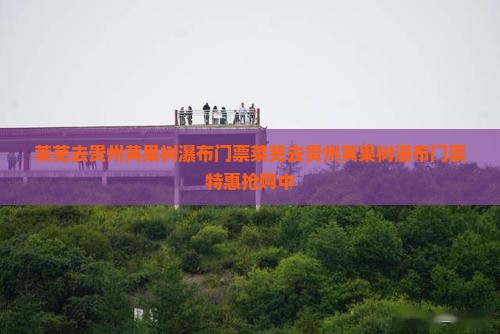 莱芜去贵州黄果树瀑布门票