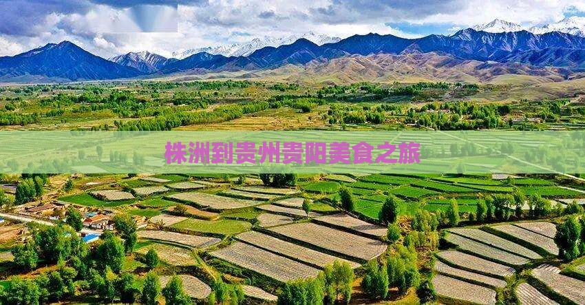 株洲到贵州贵阳旅游小吃