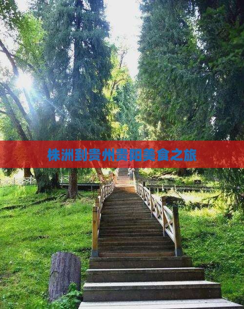 株洲到贵州贵阳旅游小吃